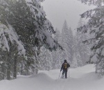 Schneeschuh- &amp; Winterwandern beim Tauernwirt im Krakautal in der Steiermark